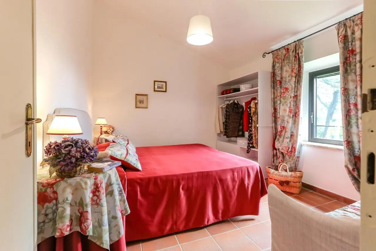 Il Pino Di Spazzavento Cetona 0*,