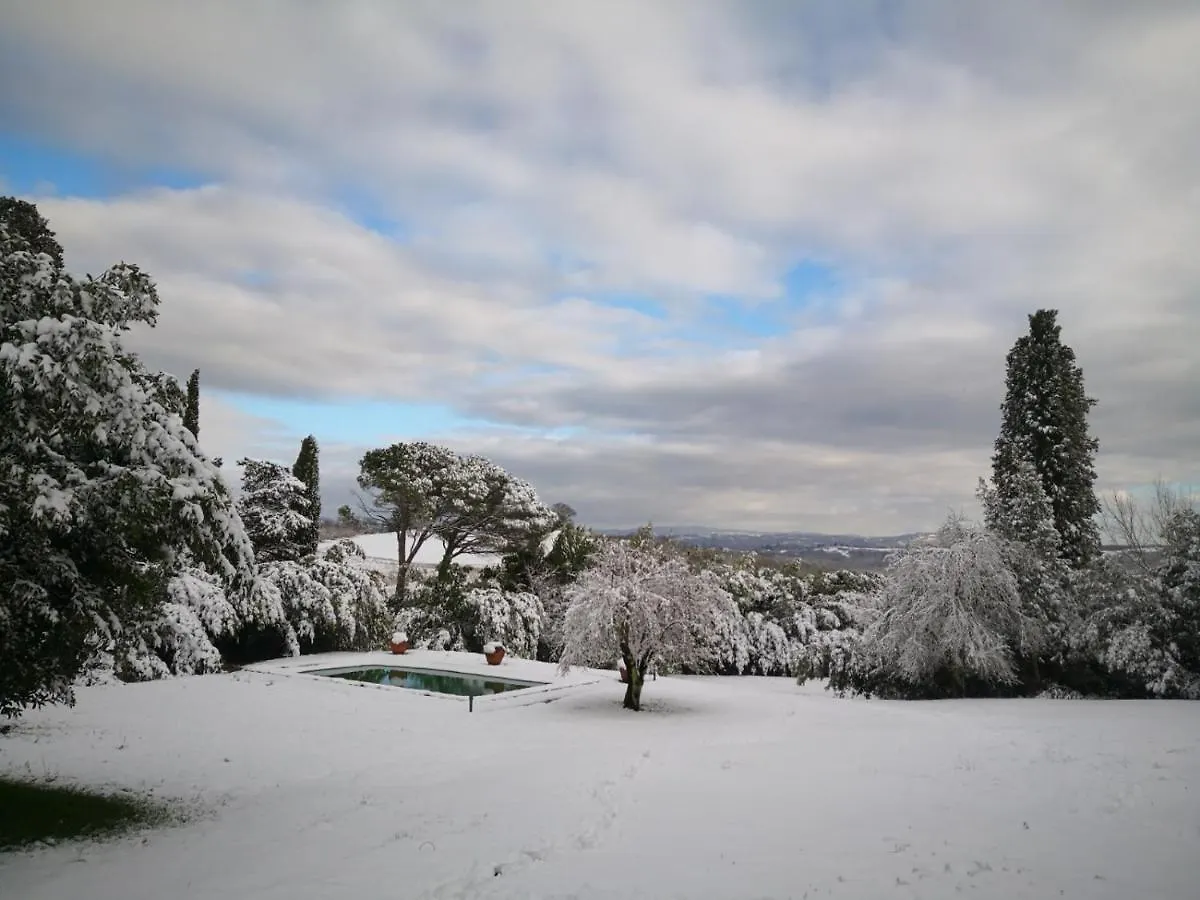 Il Pino Di Spazzavento Cetona