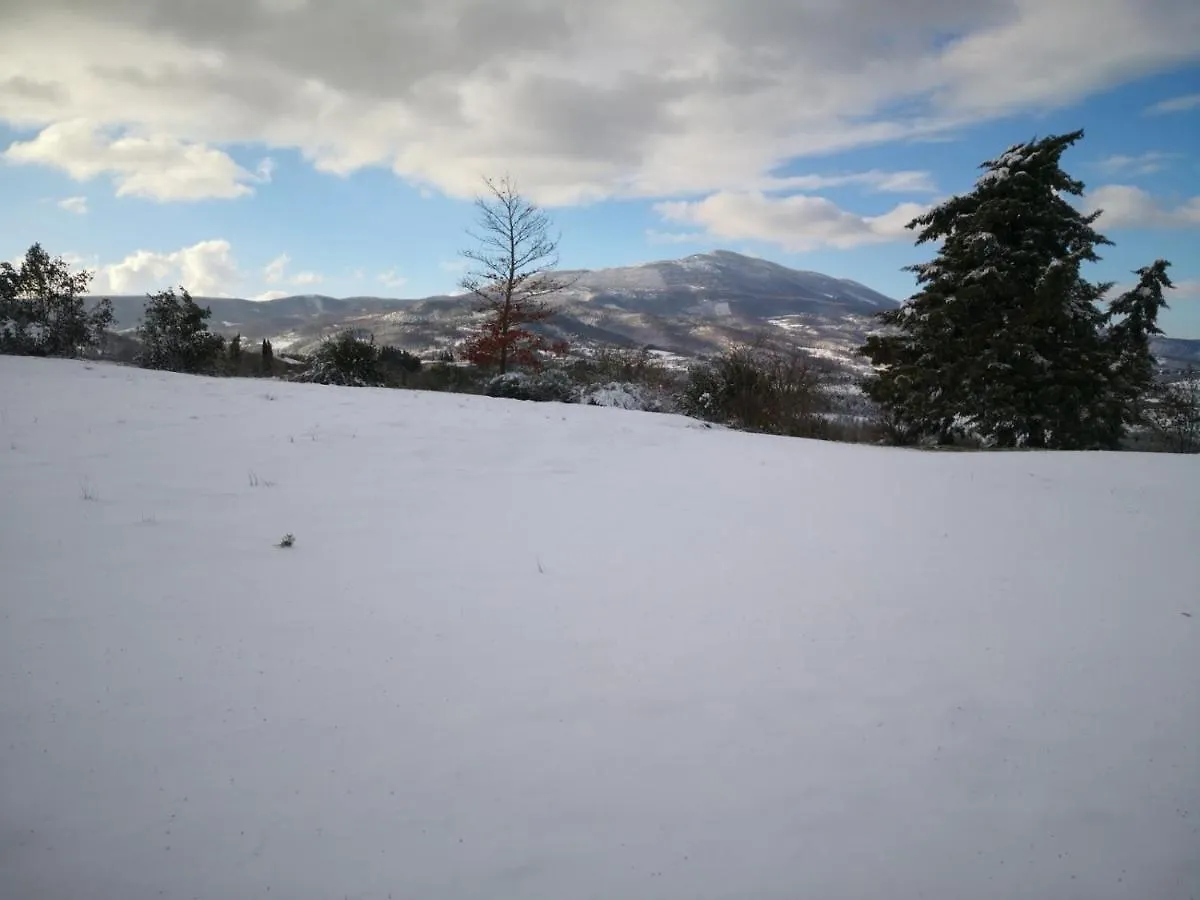 Il Pino Di Spazzavento Cetona 0*,