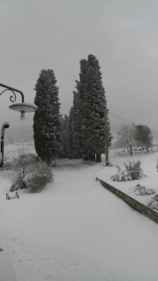 Il Pino Di Spazzavento Cetona 0*,  Italy