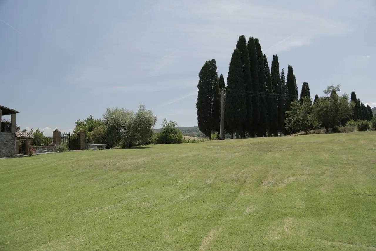 Il Pino Di Spazzavento Cetona 0*,  Italy