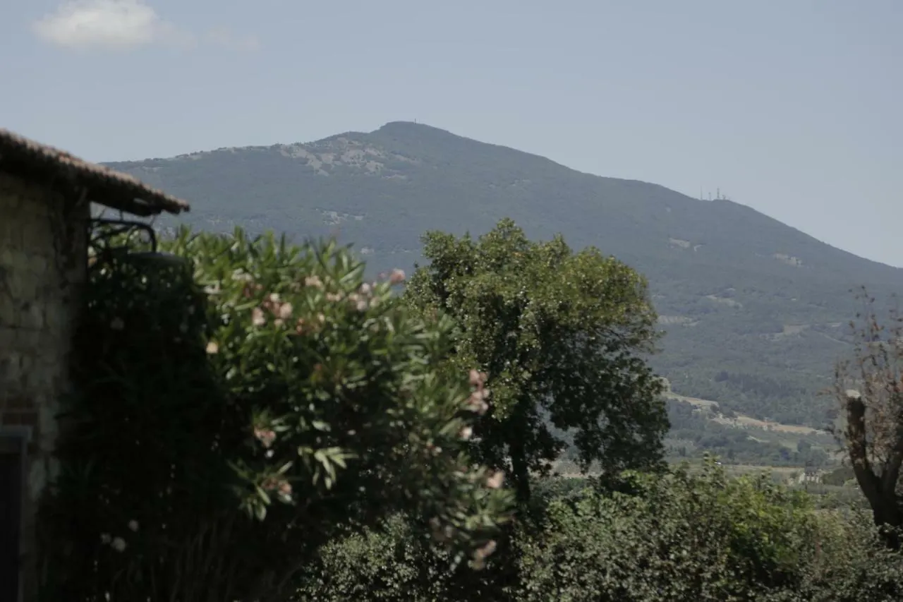 Country house Il Pino Di Spazzavento Cetona
