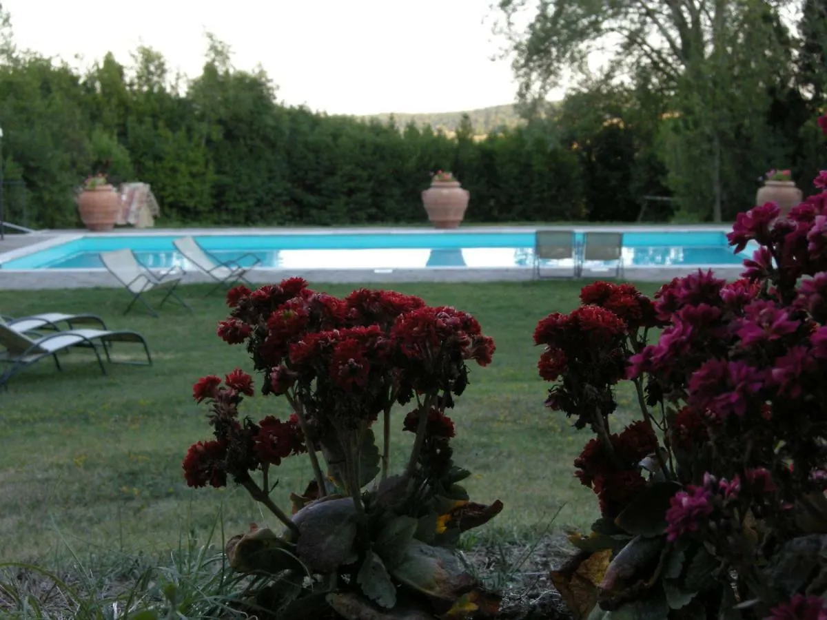 Il Pino Di Spazzavento Cetona Italy