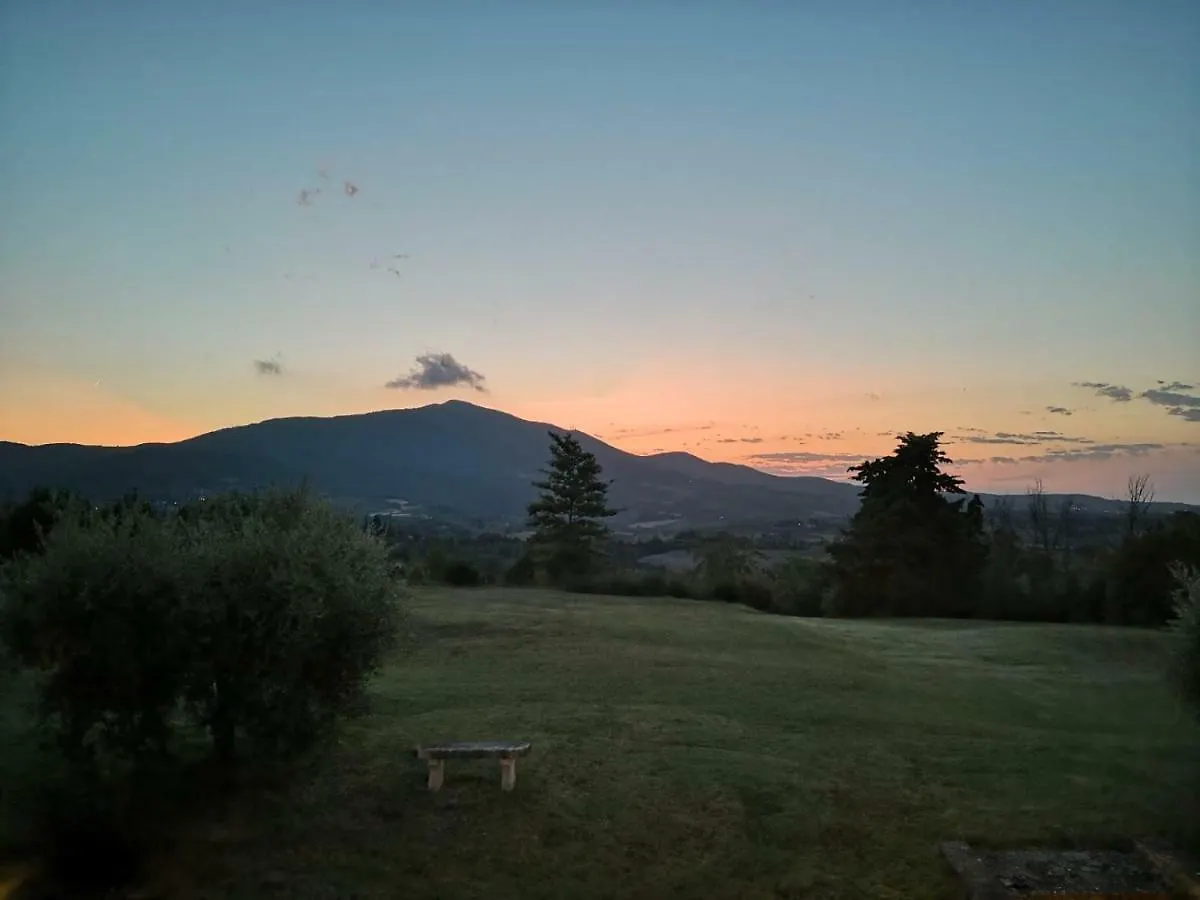 Il Pino Di Spazzavento Cetona Italy