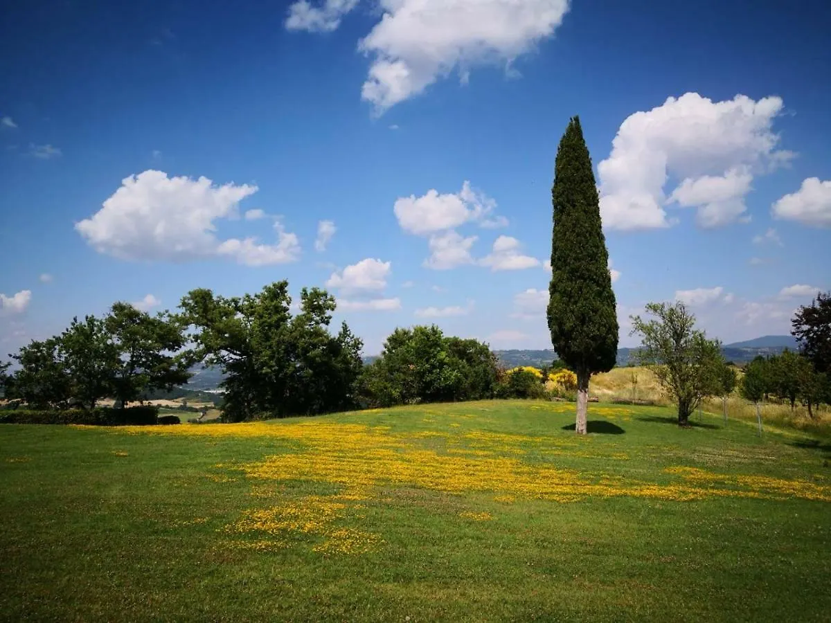 Il Pino Di Spazzavento Cetona Country house