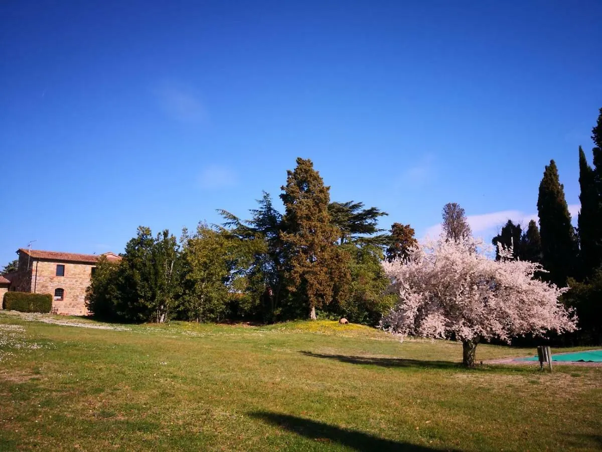 Country house Il Pino Di Spazzavento Cetona Italy