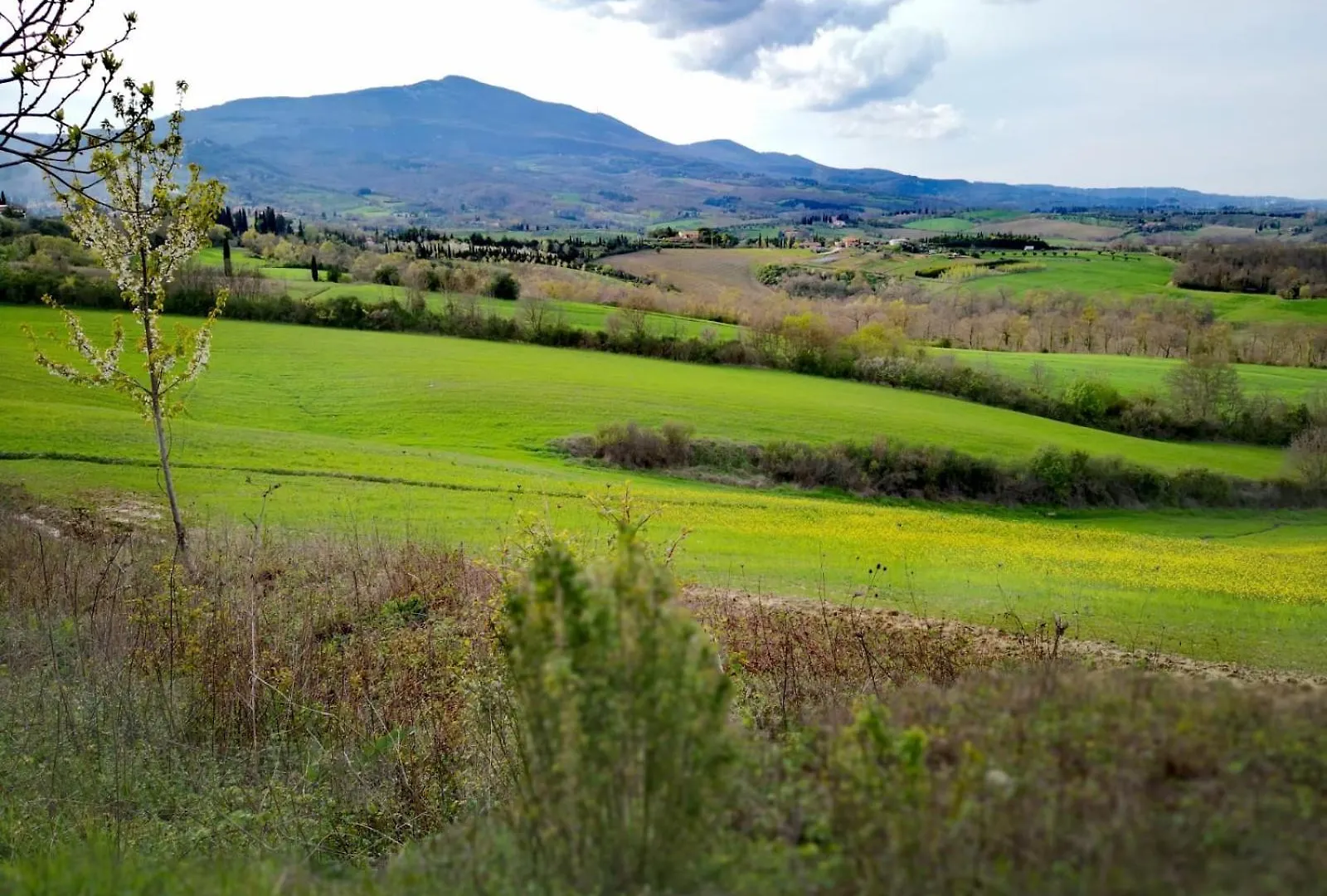 Country house Il Pino Di Spazzavento Cetona