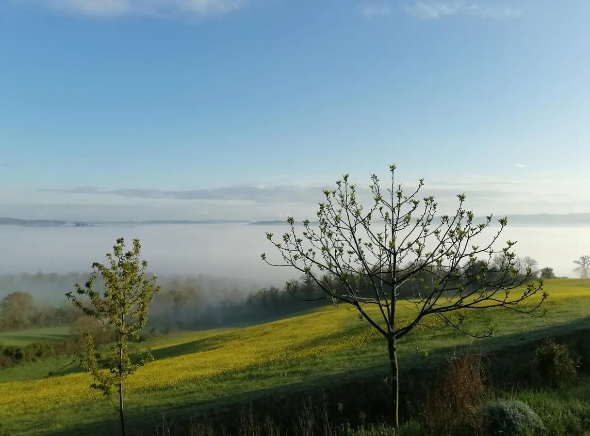 Il Pino Di Spazzavento Cetona Italy